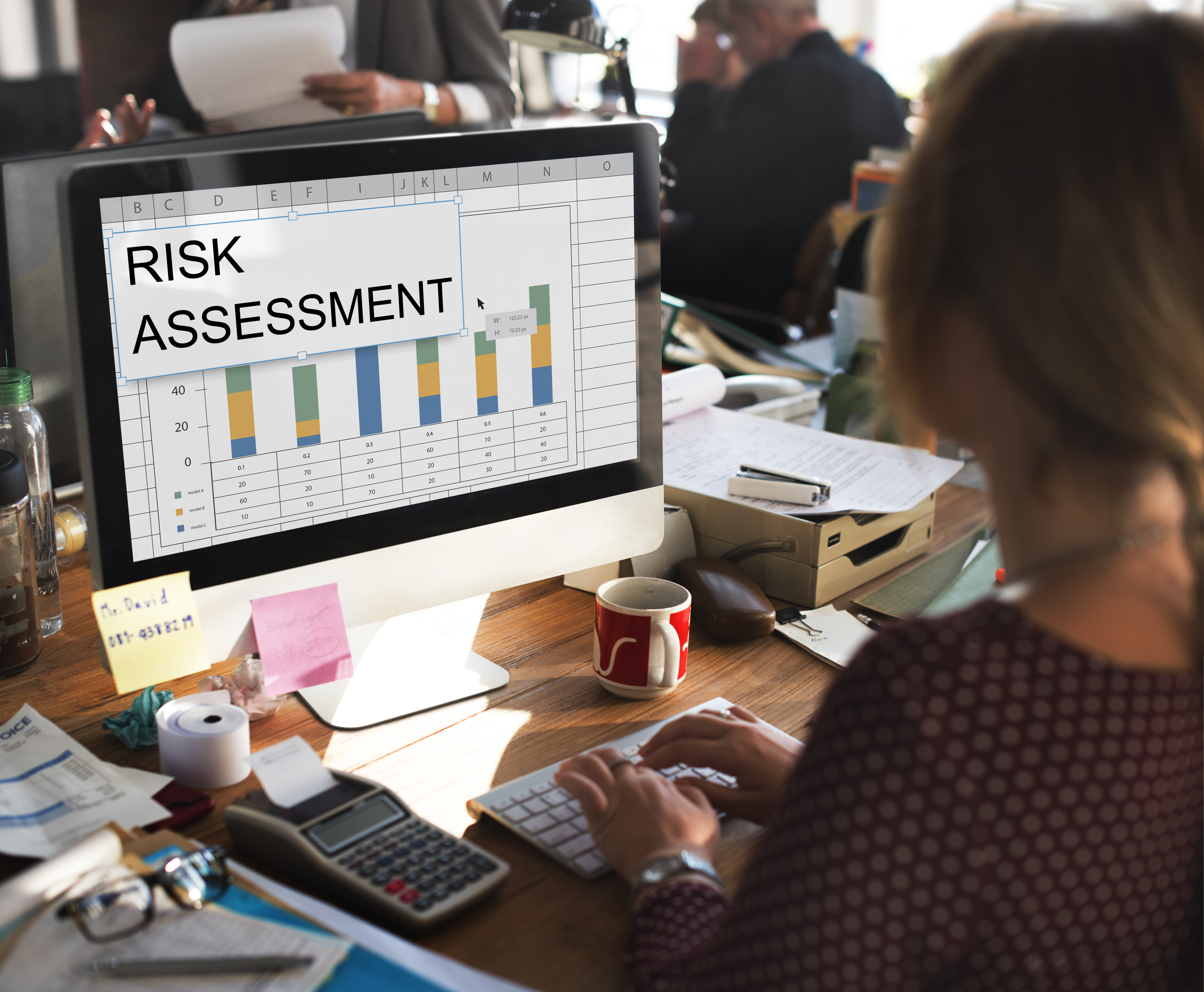 Security Risk Assessment delivered by New-E Security in Singapore